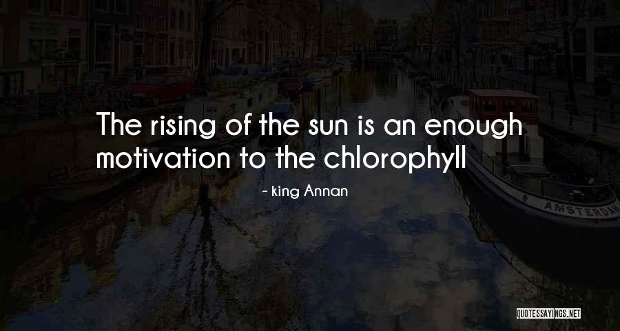 Comprei Uma Quotes By King Annan Comprei Uma Quotes By King Annan