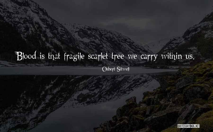 Comprende Spanish Quotes By Osbert Sitwell