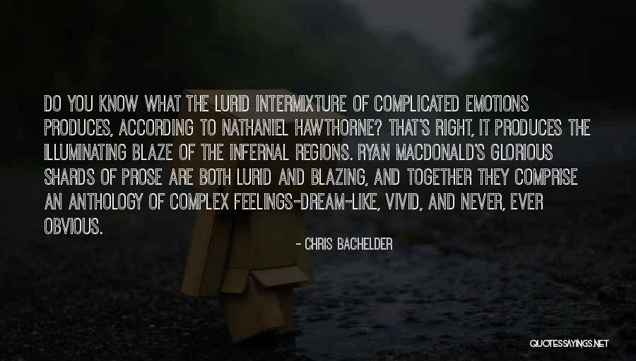 Comprise Quotes By Chris Bachelder Comprise Quotes By Chris Bachelder