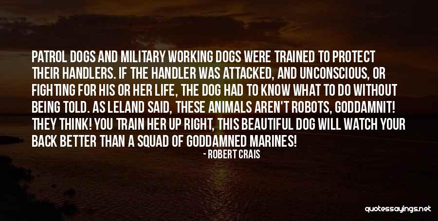 Compte Quotes By Robert Crais Compte Quotes By Robert Crais
