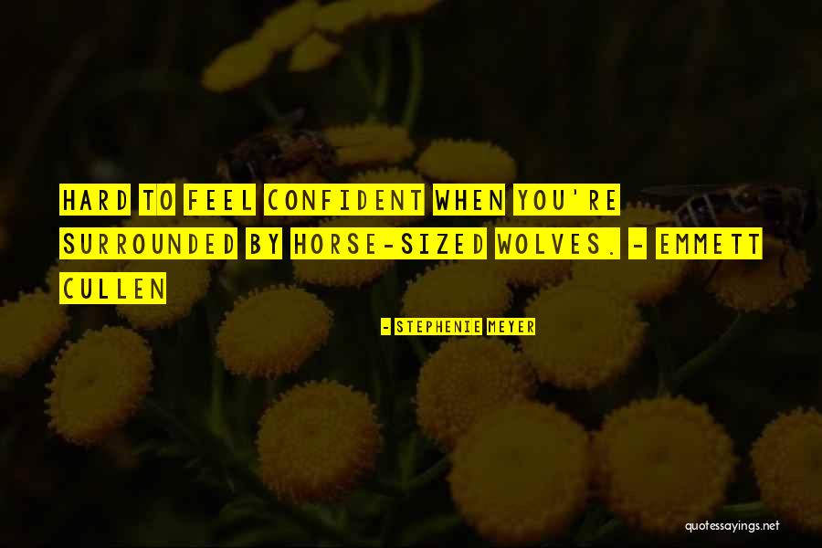 Compusa Rockville Quotes By Stephenie Meyer Compusa Rockville Quotes By Stephenie Meyer