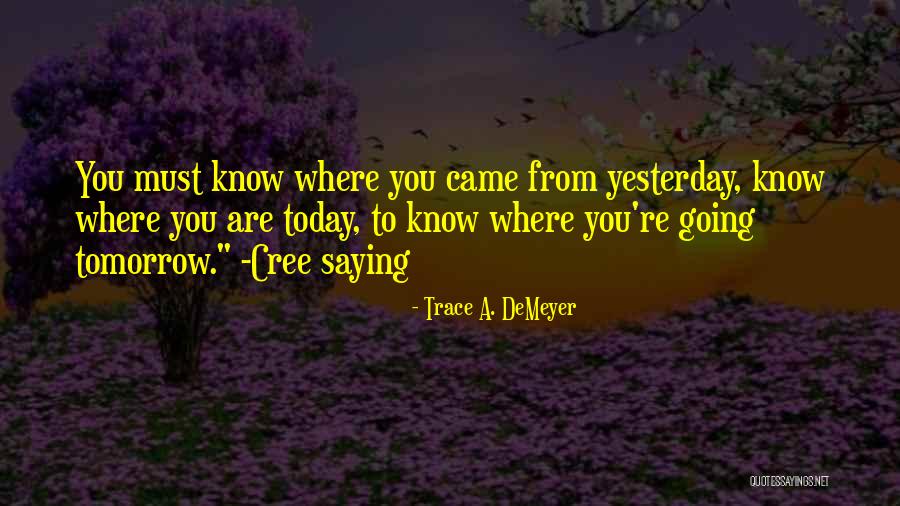 Computable Universe Quotes By Trace A. DeMeyer Computable Universe Quotes By Trace A. DeMeyer