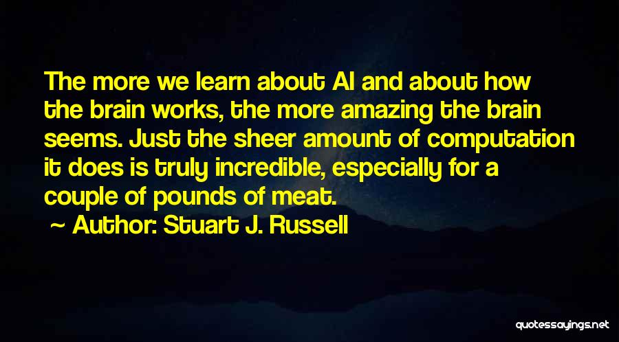 Computation Quotes By Stuart J. Russell