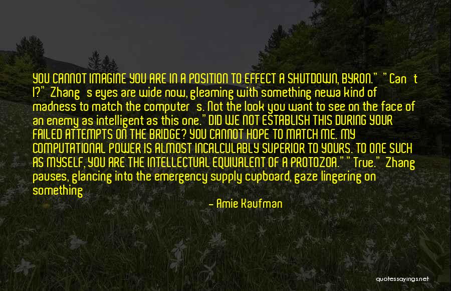 Computational Quotes By Amie Kaufman Computational Quotes By Amie Kaufman