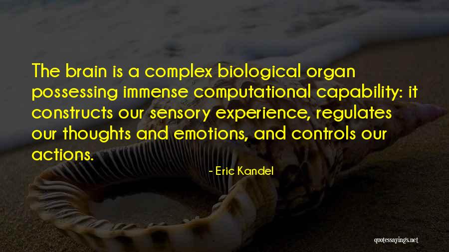 Computational Quotes By Eric Kandel Computational Quotes By Eric Kandel