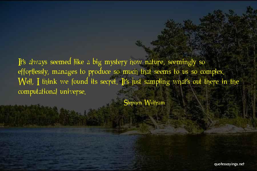Computational Quotes By Stephen Wolfram Computational Quotes By Stephen Wolfram