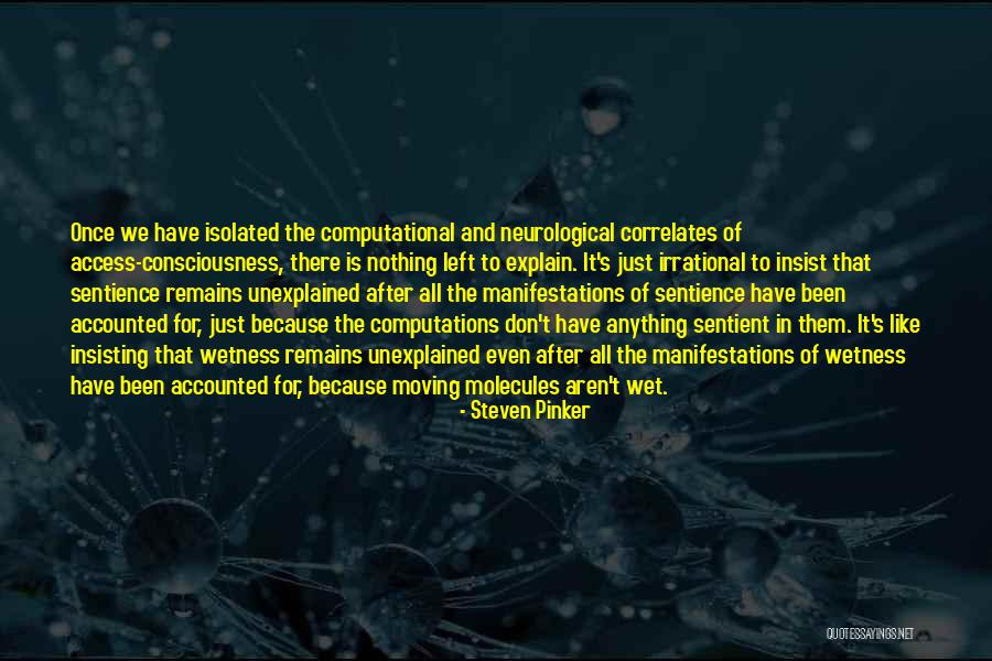 Computational Science Quotes By Steven Pinker