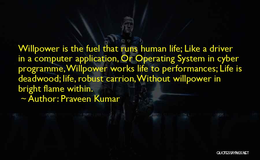 Computer Application Quotes By Praveen Kumar