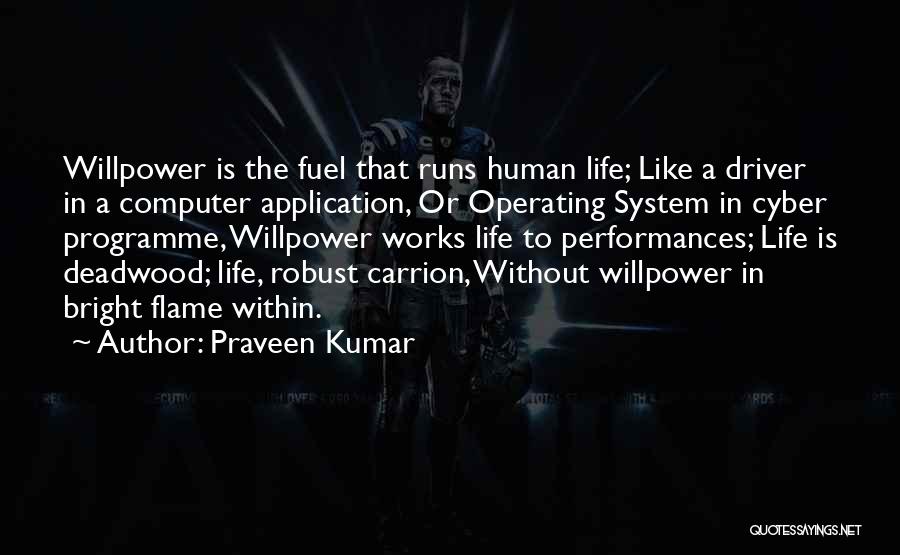 Computer Programme Quotes By Praveen Kumar