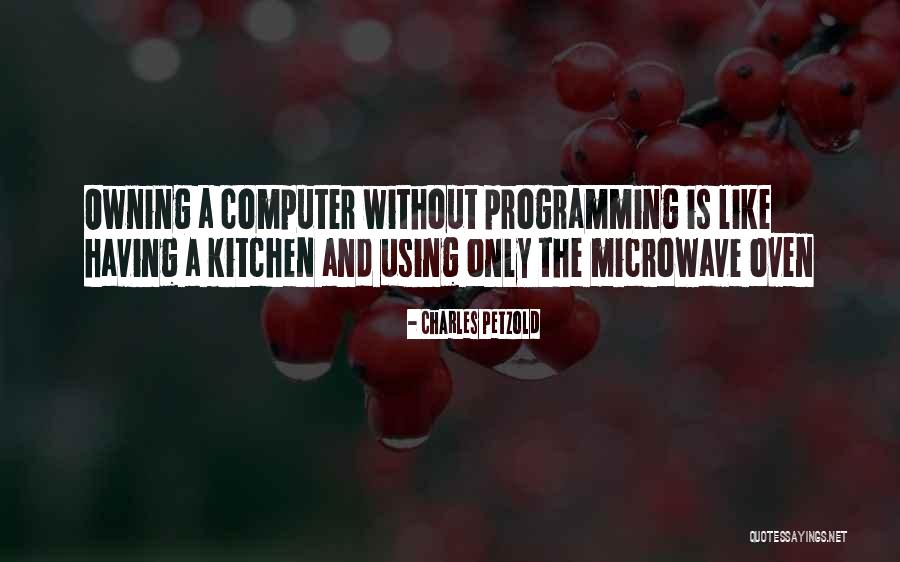 Computer Programming Quotes By Charles Petzold