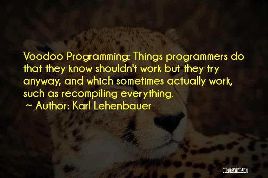Computer Programming Quotes By Karl Lehenbauer