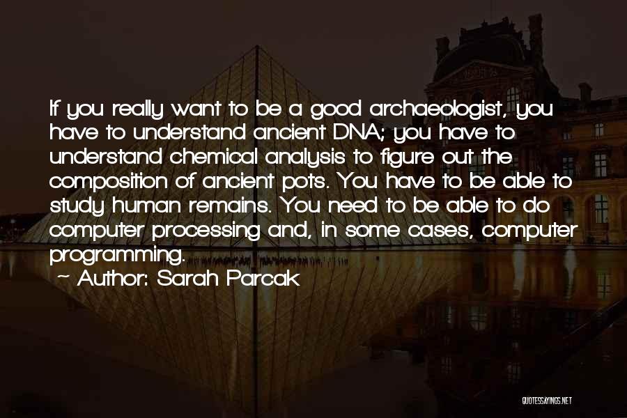 Computer Programming Quotes By Sarah Parcak