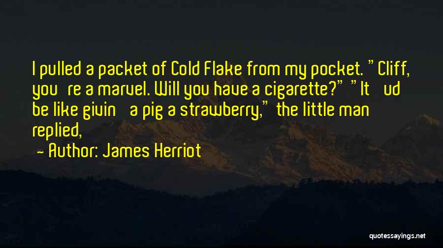 Computerisms Quotes By James Herriot