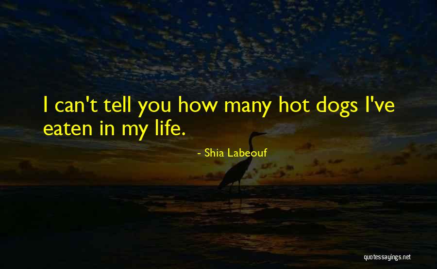 Computerman Quotes By Shia Labeouf Computerman Quotes By Shia Labeouf