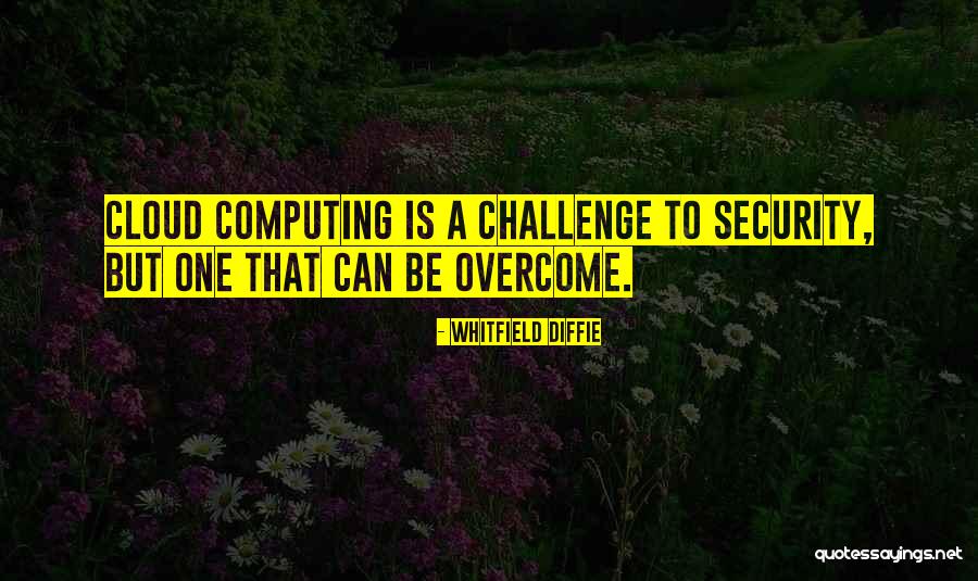 Computing Security Quotes By Whitfield Diffie