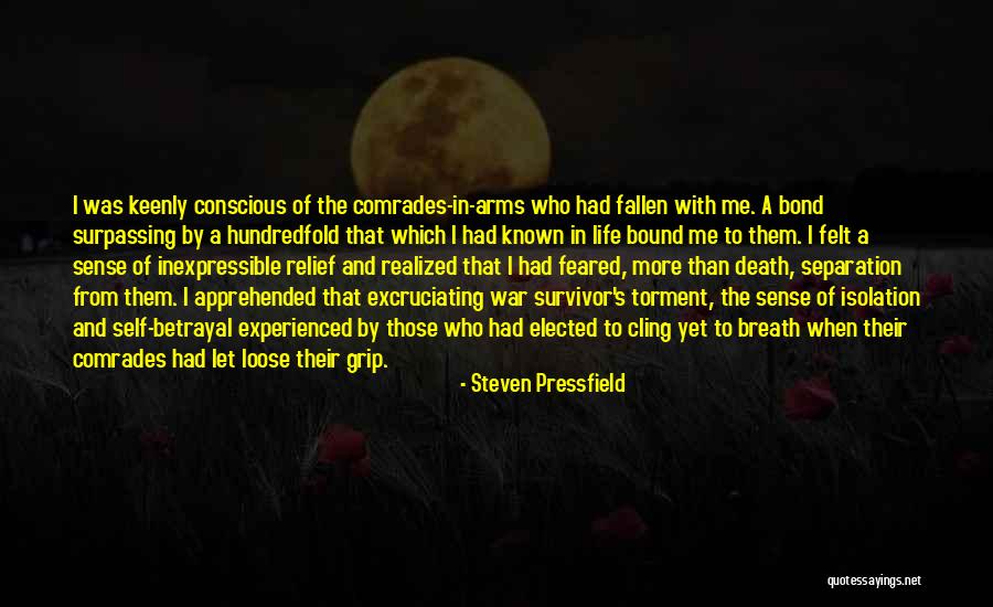 Comrades In Arms Quotes By Steven Pressfield