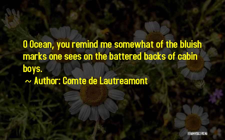 Comte De Lautreamont Quotes 846003