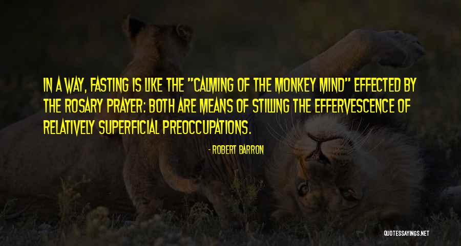 Comunicare Quotes By Robert Barron Comunicare Quotes By Robert Barron