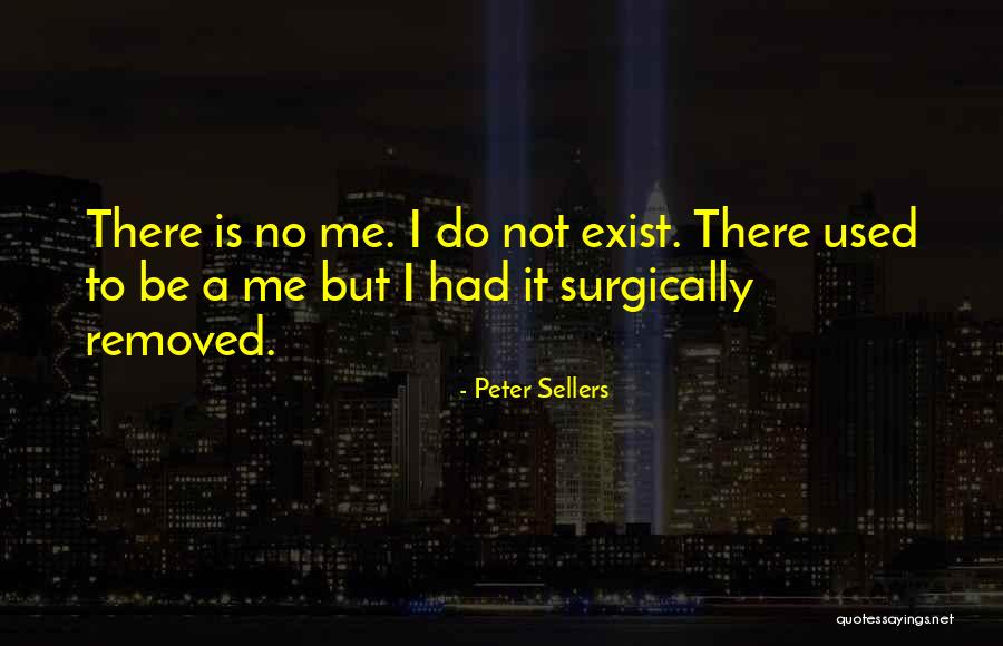 Comunitario En Quotes By Peter Sellers Comunitario En Quotes By Peter Sellers