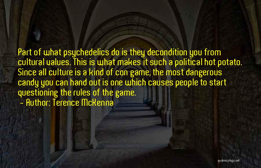 Con Game Quotes By Terence McKenna