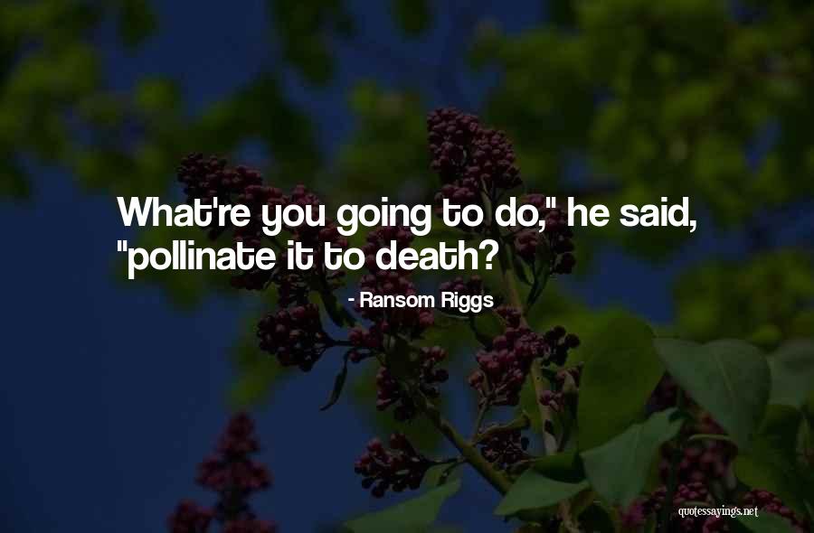 Conacher Athletics Quotes By Ransom Riggs Conacher Athletics Quotes By Ransom Riggs
