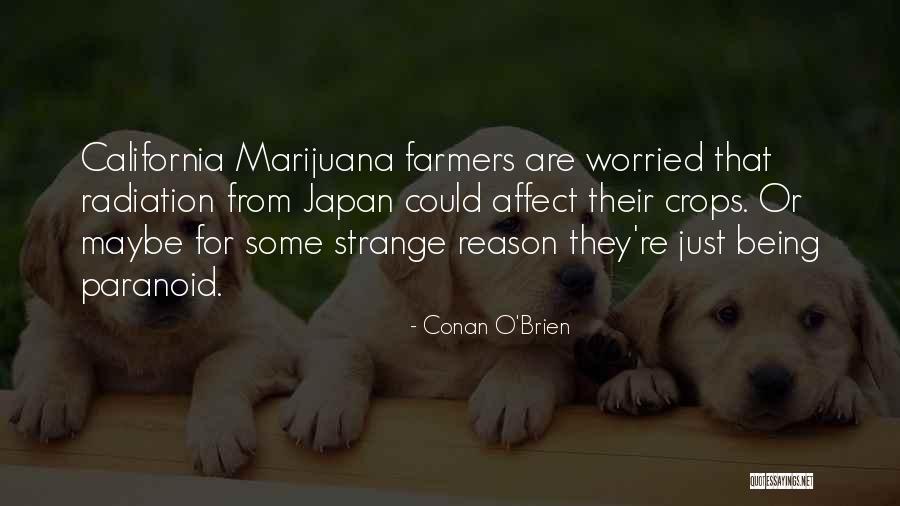 Conan O'Brien Quotes 316836 Conan O'Brien Quotes 316836