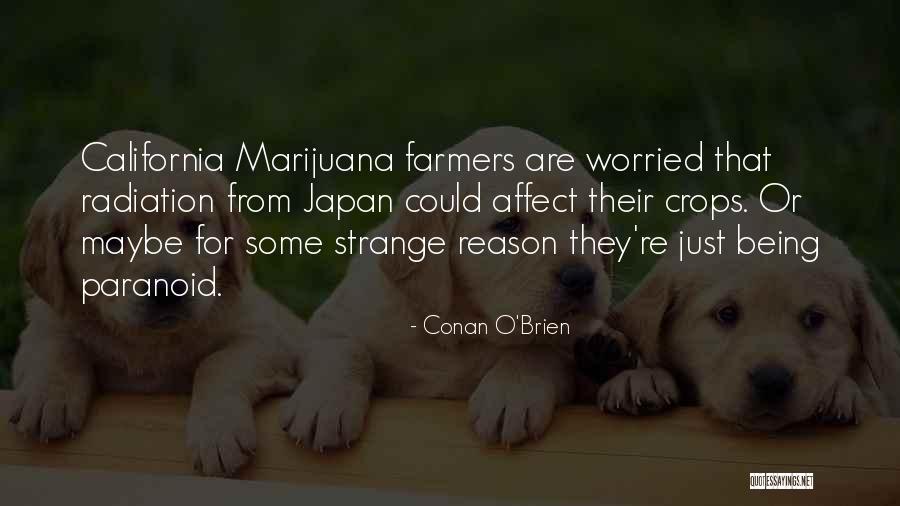 Conan O'Brien Quotes 316836