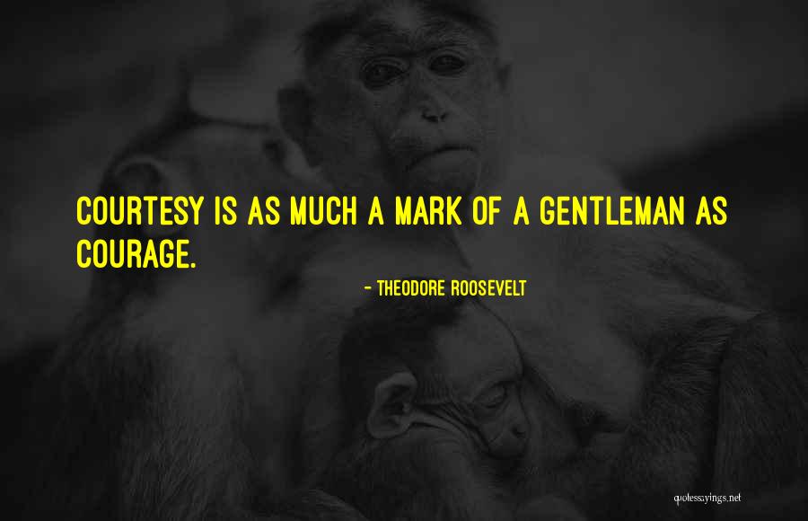 Concatenate With Quotes By Theodore Roosevelt Concatenate With Quotes By Theodore Roosevelt