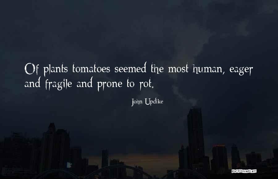 Concaved 7stat Quotes By John Updike Concaved 7stat Quotes By John Updike