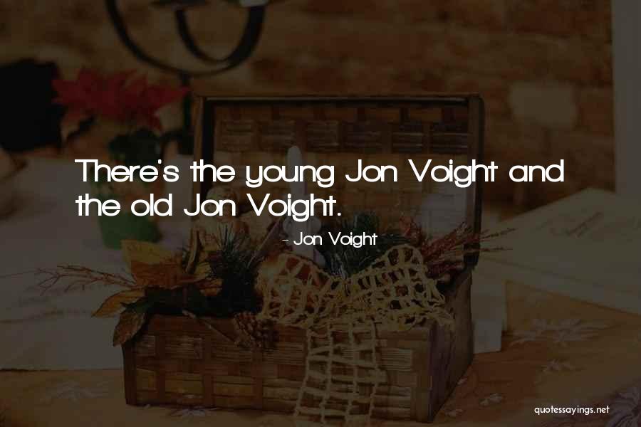 Concealable Bullet Quotes By Jon Voight Concealable Bullet Quotes By Jon Voight