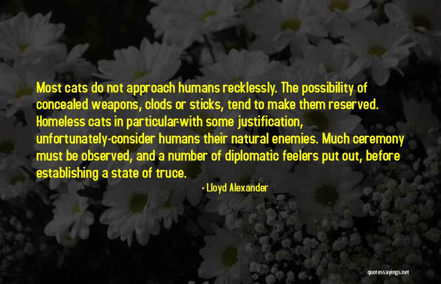 Concealed Weapons Quotes By Lloyd Alexander Concealed Weapons Quotes By Lloyd Alexander