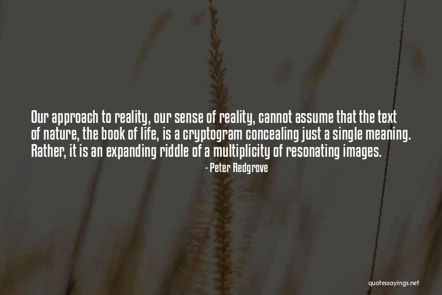 Concealing Quotes By Peter Redgrove Concealing Quotes By Peter Redgrove