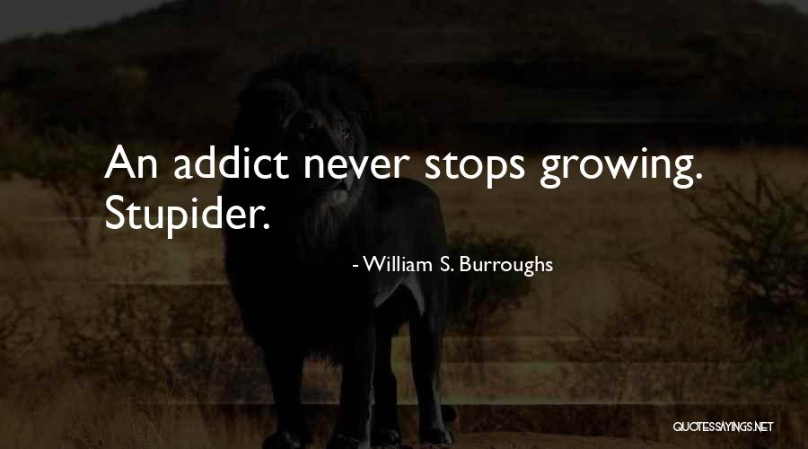 Concealment Holsters Quotes By William S. Burroughs Concealment Holsters Quotes By William S. Burroughs