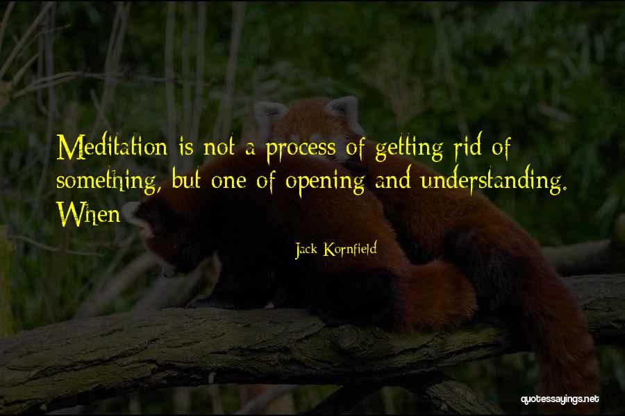 Conceitos Basicos Quotes By Jack Kornfield Conceitos Basicos Quotes By Jack Kornfield