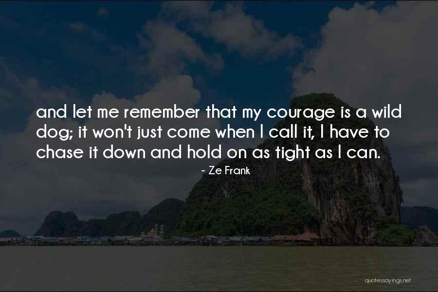 Conceitos Basicos Quotes By Ze Frank Conceitos Basicos Quotes By Ze Frank