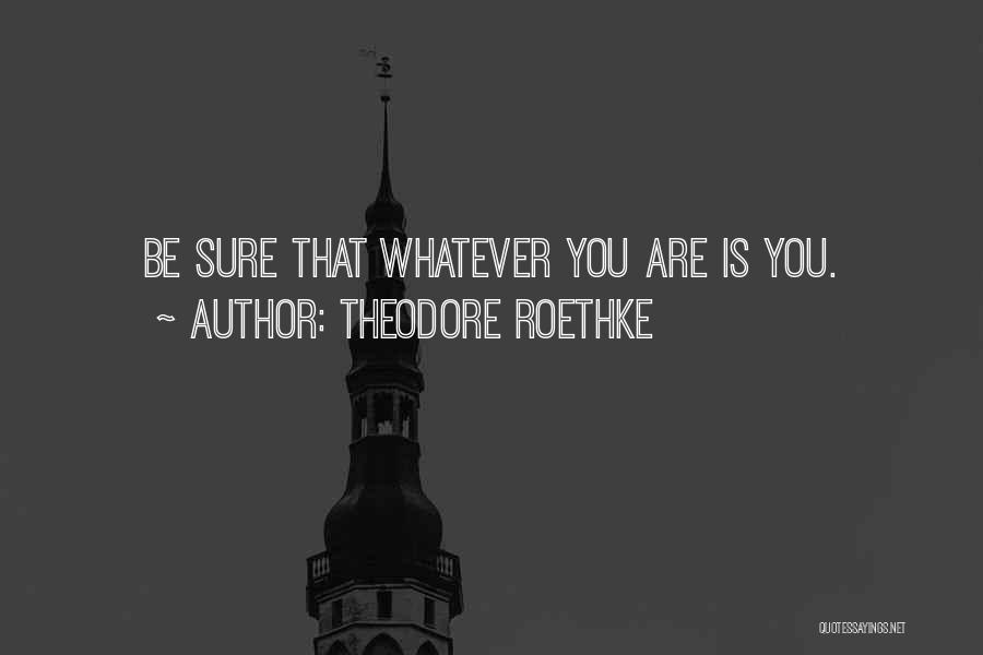 Concentraciones Quotes By Theodore Roethke