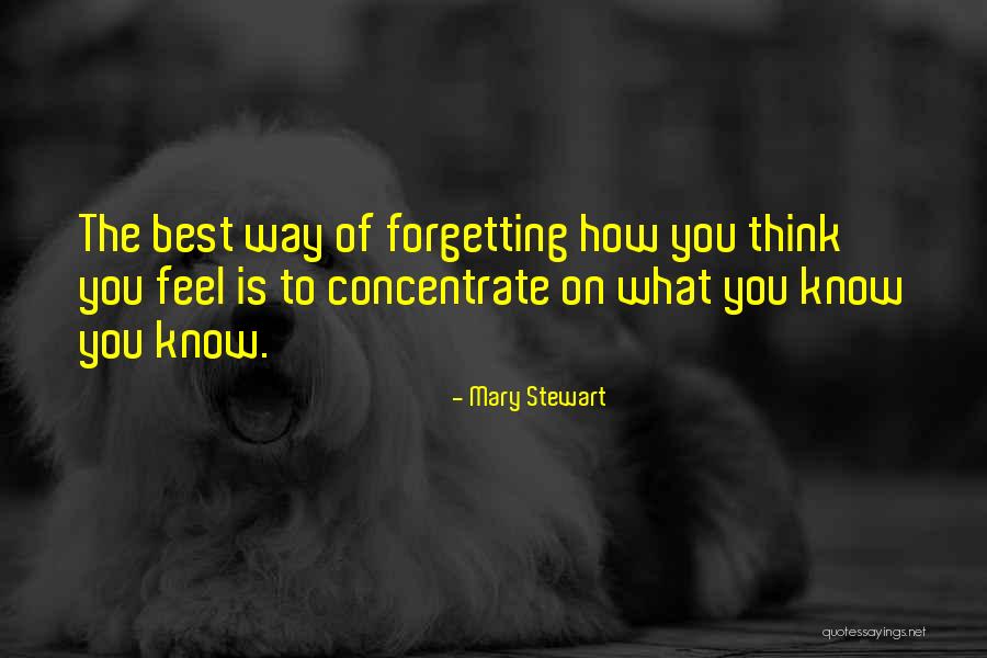 Concentrate On You Quotes By Mary Stewart Concentrate On You Quotes By Mary Stewart