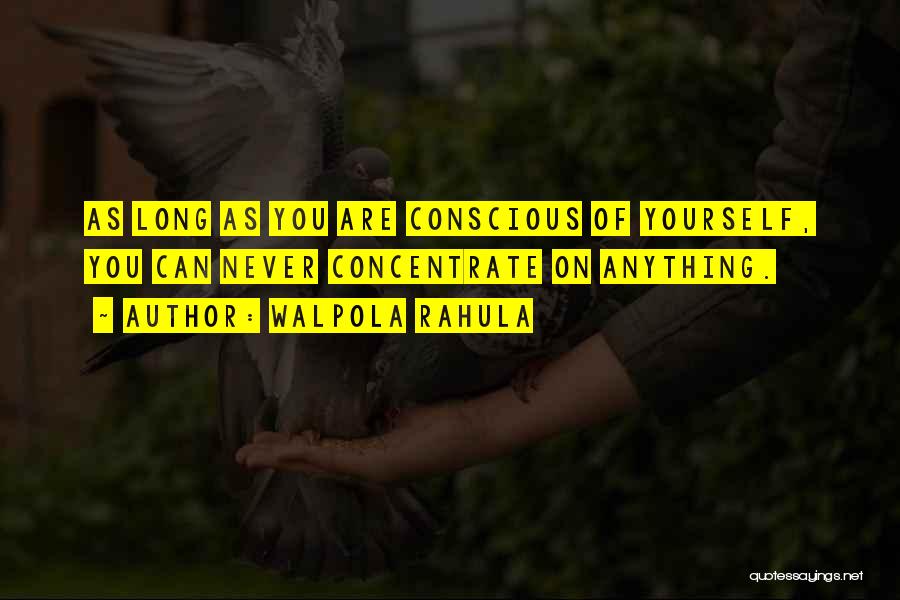Concentrate On Yourself Quotes By Walpola Rahula