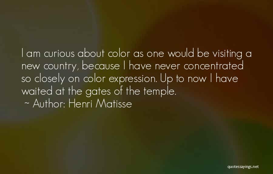 Concentrated Quotes By Henri Matisse