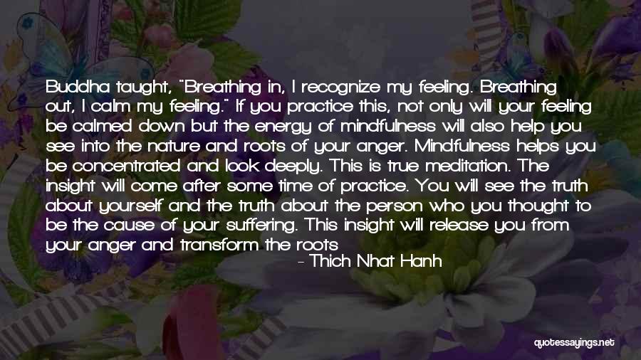 Concentrated Quotes By Thich Nhat Hanh