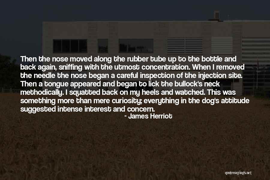 Concentration Of Quotes By James Herriot Concentration Of Quotes By James Herriot