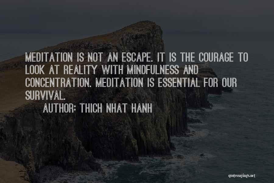 Concentration Quotes By Thich Nhat Hanh