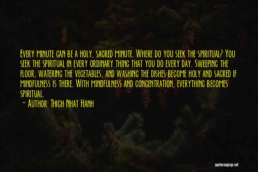 Concentration Quotes By Thich Nhat Hanh