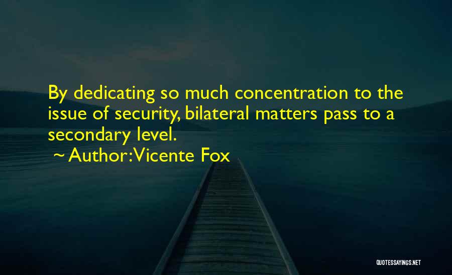 Concentration Quotes By Vicente Fox