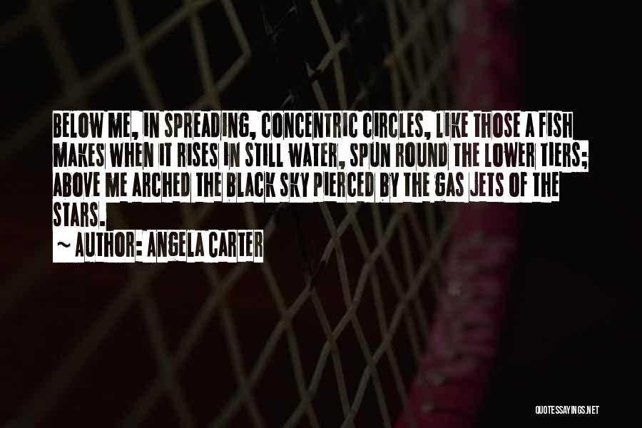Concentric Circles Quotes By Angela Carter