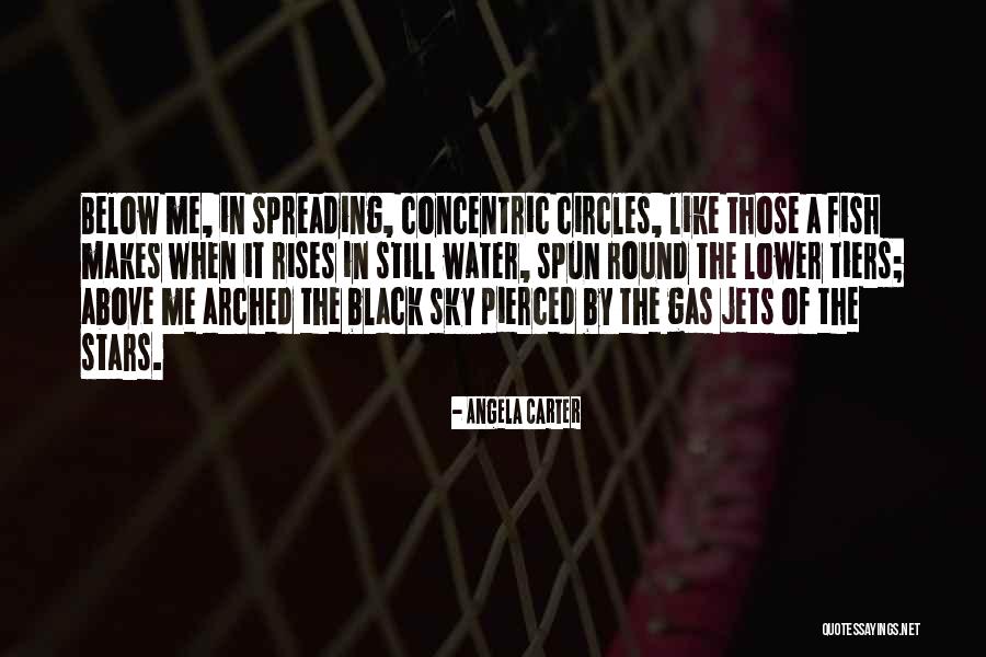 Concentric Circles Quotes By Angela Carter Concentric Circles Quotes By Angela Carter