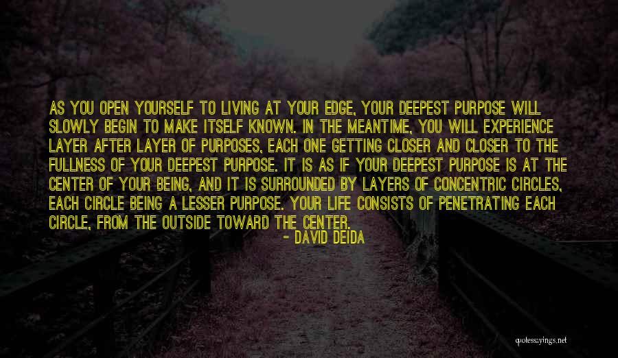 Concentric Circles Quotes By David Deida Concentric Circles Quotes By David Deida