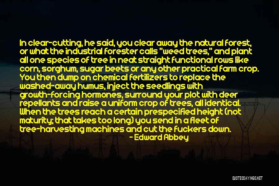 Concentric Circles Quotes By Edward Abbey