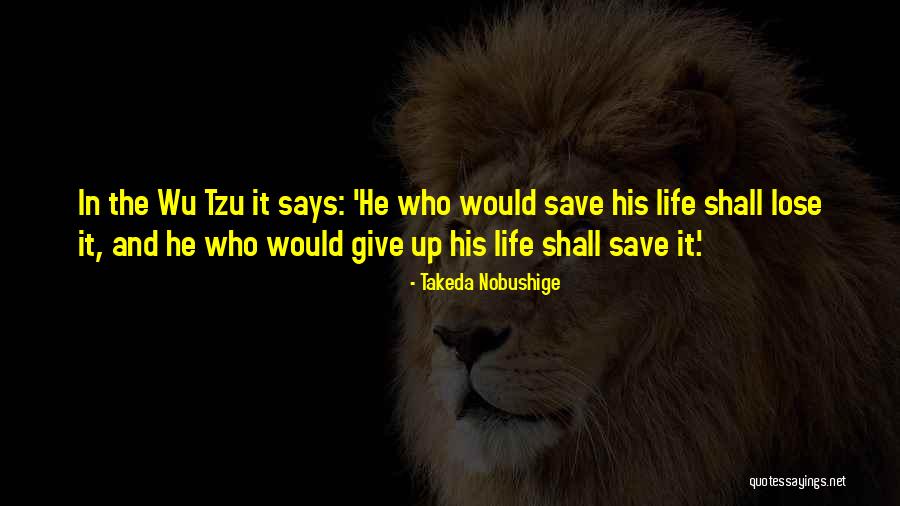 Concept And Feasibility Quotes By Takeda Nobushige
