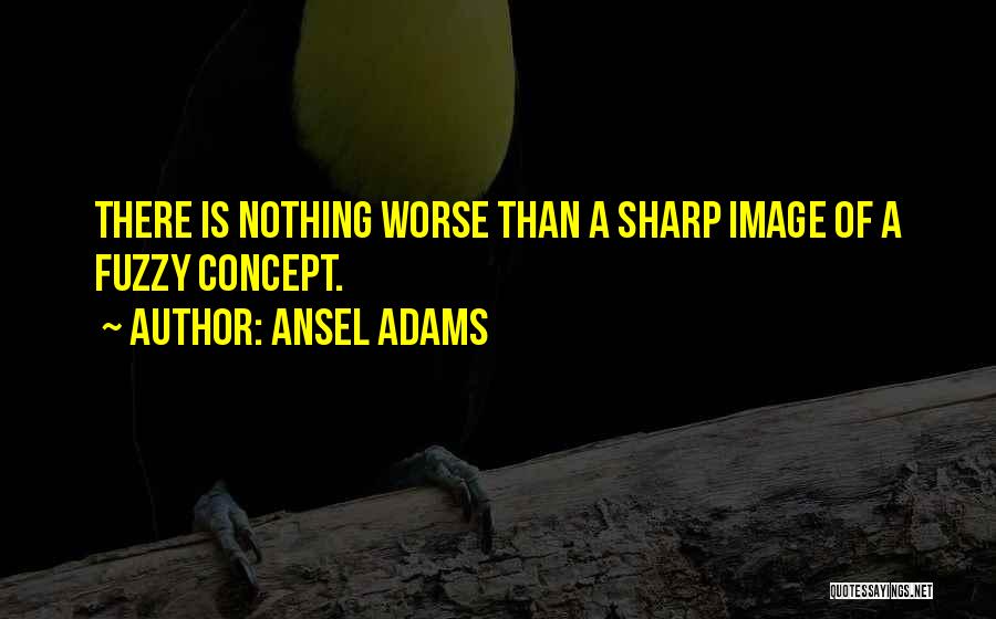 Concept Photography Quotes By Ansel Adams